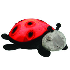 Lady Bug Childrens Light